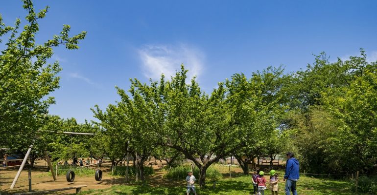 緑いっぱい!思い切り遊ぼう!