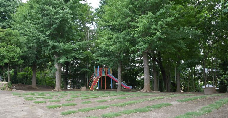 緑いっぱいのわんぱくの森で探検しよう!