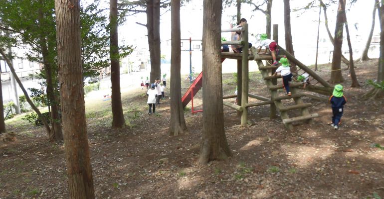 緑いっぱい冒険山!自然がたっぷり♪